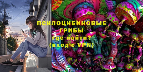 ПСИЛОЦИБИНОВЫЕ ГРИБЫ Арсеньев