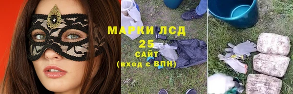 ПСИЛОЦИБИНОВЫЕ ГРИБЫ Арсеньев
