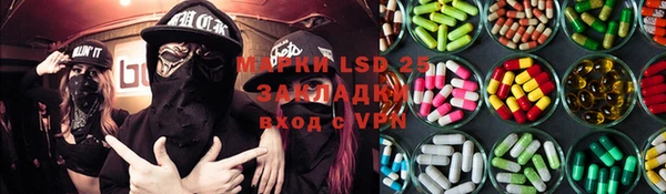 стафф Алзамай