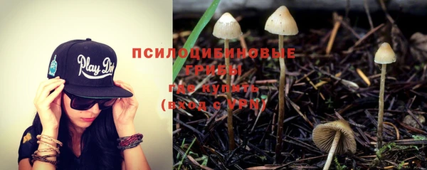 не бодяженный Армянск
