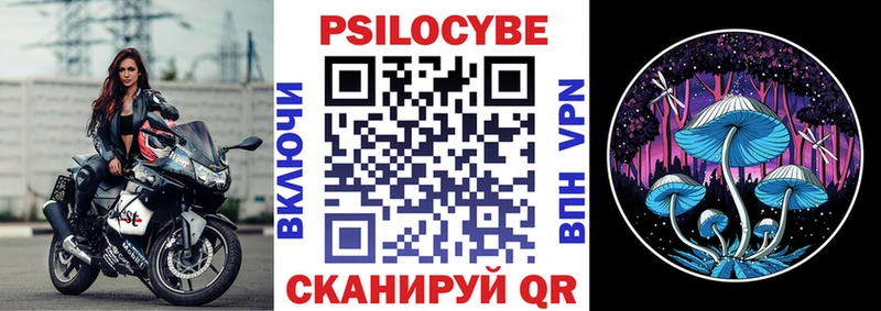Псилоцибиновые грибы Psilocybine cubensis  Аткарск 