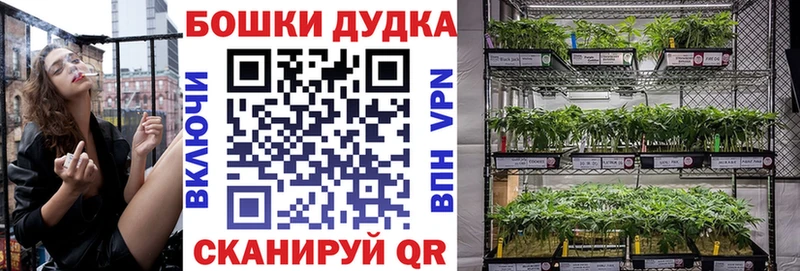 Бошки Шишки планчик  Аткарск 